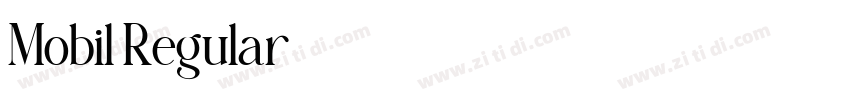 Mobil Regular字体转换
